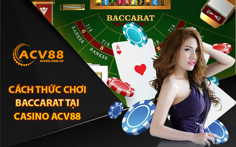 Cách thức chơi baccarat tại casino Acv88 