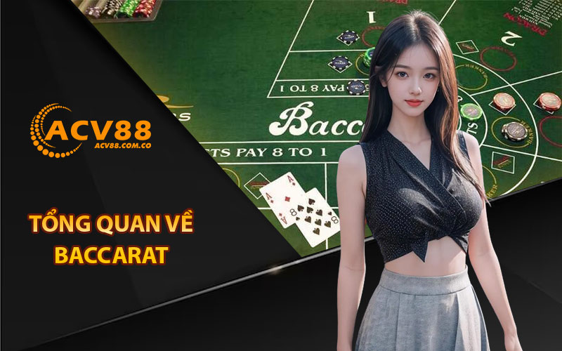 Tổng quan về baccarat 